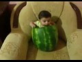 ������� ���� �����