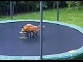 ���� ������� �� ������
