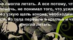 Душевное поздравление мамы взрослую дочь с днем рождения Душевное поздравление мамы взрослую дочь с днем рождения
