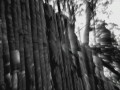 Natural Spirit - ��������
