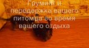 ����� ������������ �������