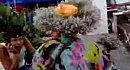 ����� ������� - ���������