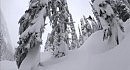 Winter X Games - ���������: Mark Sollors