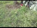 ��� ����� ��������� �������� � ����
