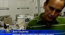 ������������ ���� ������� ����������� ����