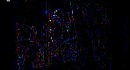 ����� ���)