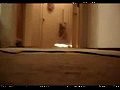 ������ � �������