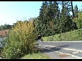 ���������� ����� �� ��������� ����������