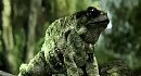 Crysis 3 - ����������� ������ CryEngine 3