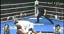 Judo in MMA