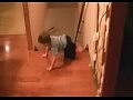 ���������� ����� �� ��������