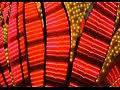 Katy Perry - Waking Up In Vegas (Manhattan Clique Remix)
