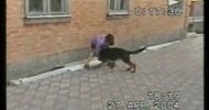 �������� ������� Kantor  2004