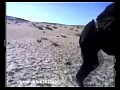 ������� ����
