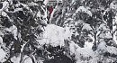 Winter X Games - ���������: Iikka Backstrom