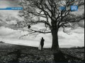 my chemical romance  - i don't love you