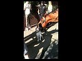 ������ �������� � ����������� ��������