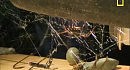 ���� Redback