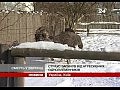 � ��������� �������� ������ ������� �� ���������� �������������