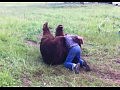 ������ �������� ���� ������ � ������