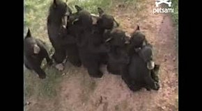 ����� ������ � ���������