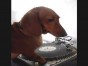 ������ DJ