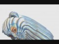 Bjork - Hunter