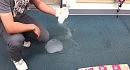 �� ������� � ������ ������