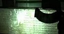 ����������� Condemned 2 - ����� 2 (����� ������)