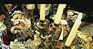 Billy Talent - Fallen Leafs