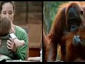 WWF �������, ��� ������ ���� � �����