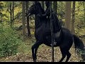 Austra - Spellwork