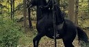 Austra - Spellwork