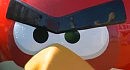 Angry Brids Land - ����� ���� �����������