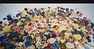 Alice Nine - Eraser ~ Memoire d'une fleur ~