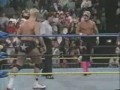 Sting vs Steve Austin