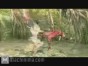 Soul Calibur 4 - Star Wars Trailer.
