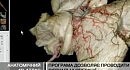 4D Anatomy ������� ������������ ����� �������� ��������� ���