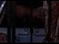 ��� � ��������� �������� / Two and a Half Men 9 ����� 2 �����