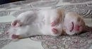 ���������� ������ �������