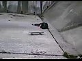 ����� ��������� ����