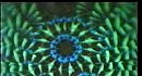 stereomcs - elevate my mind