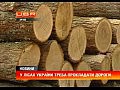 ³���� ѳ����_� ���� ������ ����� ���������� ������