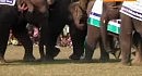 ����� - ��������� ����� �������� �������
