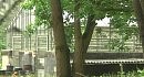 � ������ ������� ����� ����� �������� ��������
