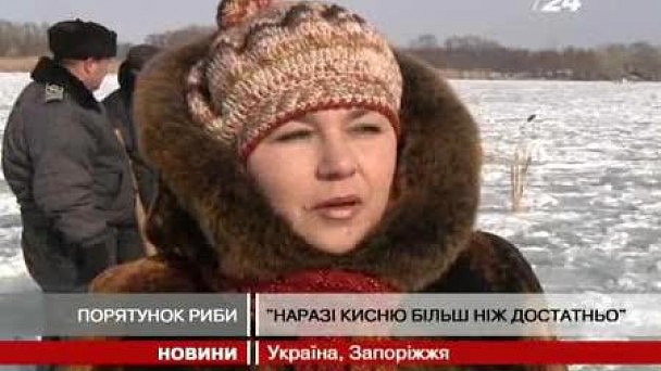 Юлия Михалкова Прозрачная Блузка Видео В Нижнем Новгороде