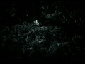 THE KANDIDATE - Give Up All Hope