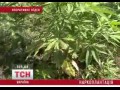 �������������� ������� � ���������