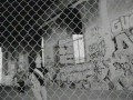 mxpx - secret weapon