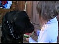 ������, ������� ����� ����� ������